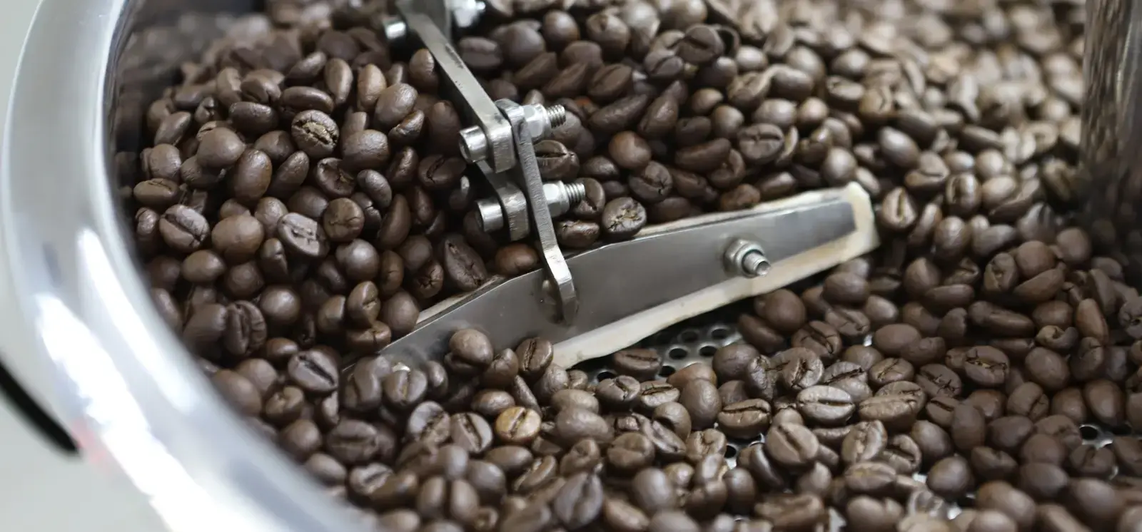 A freshly roasted batch in the cooling tray