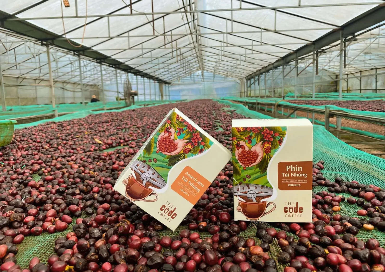 Ripe cherries in the drying greenhouse with Lien Viet Green packaged products