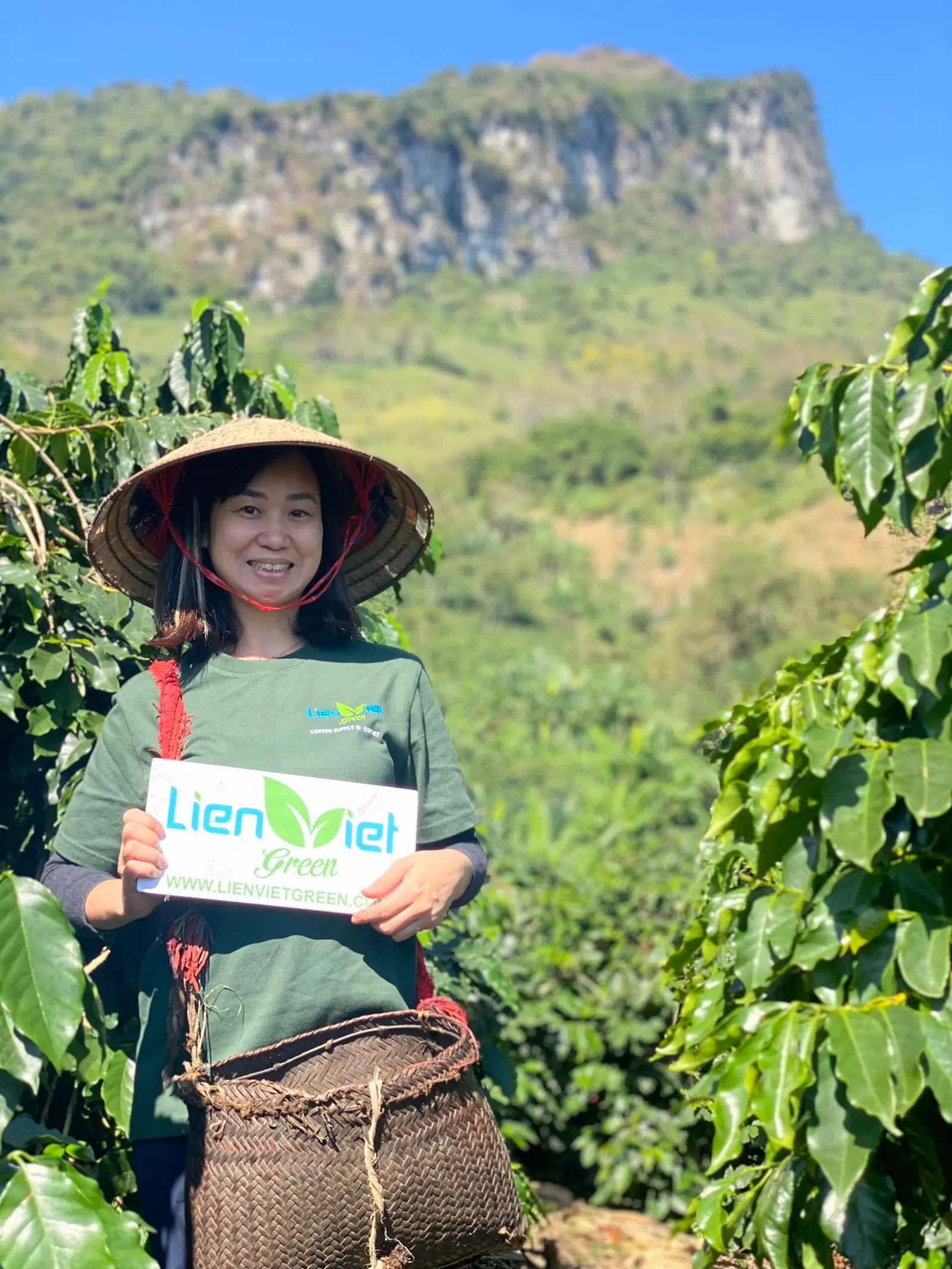 Vietnamese Coffee – A Global Favorite from Farm to Cup