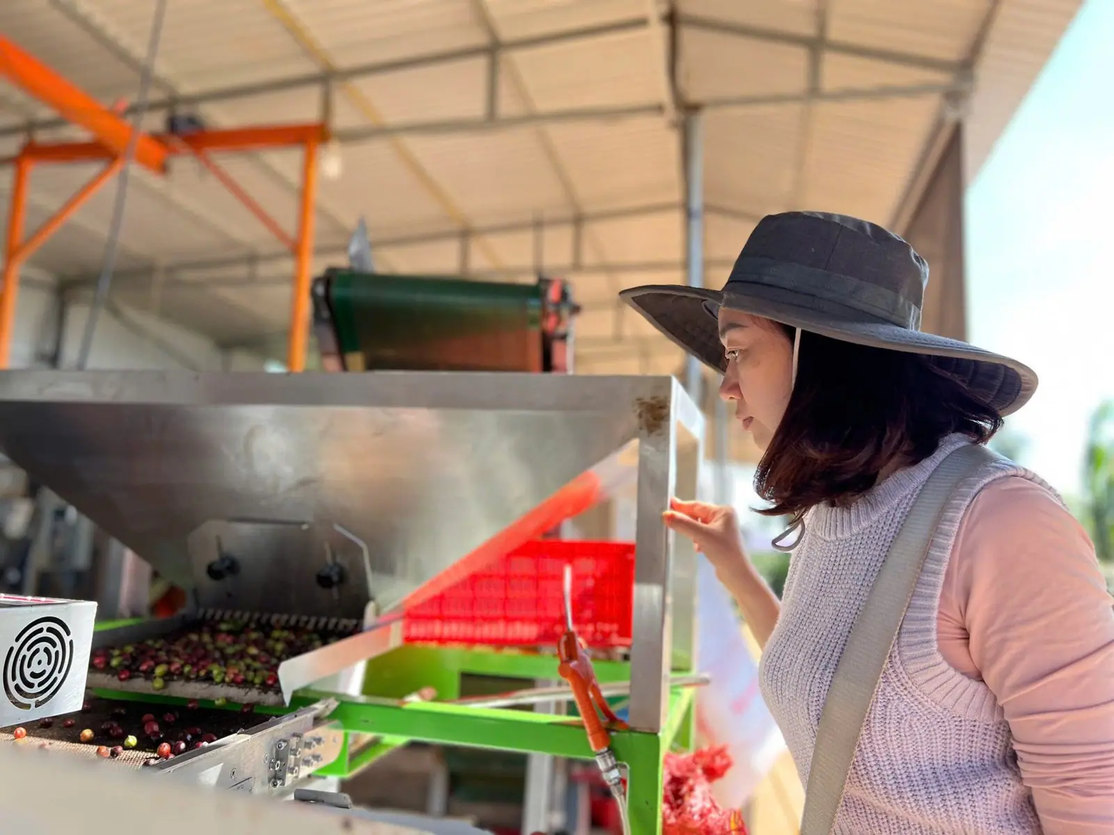 Sustainable Coffee & Processing Methods