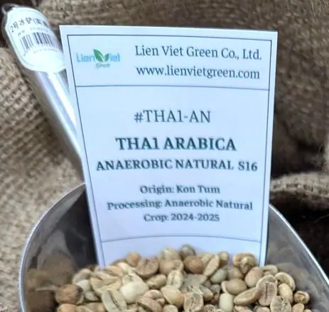 Cà phê Arabica THA1-AN