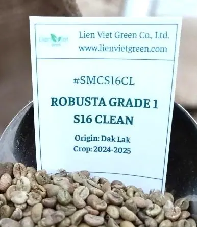 Cà phê Robusta Grade 1 – SMCS16CL