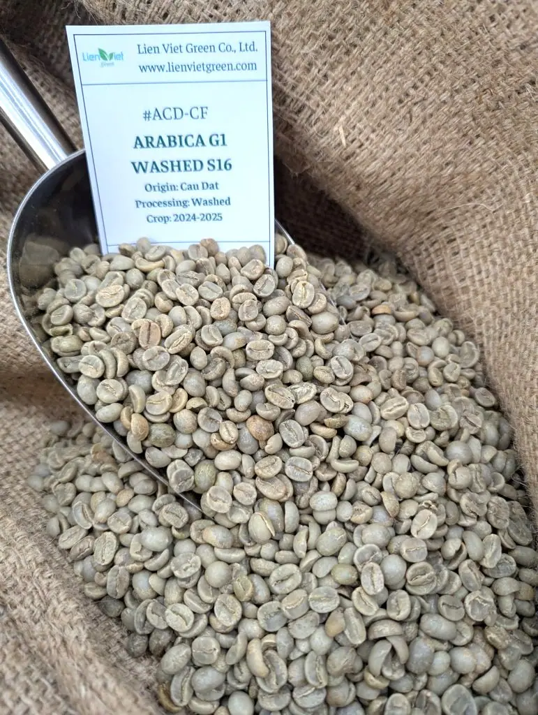 Cà phê nhân Arabica G1 ACD-CF Washed S16 Cầu Đất kèm nhãn mẫu