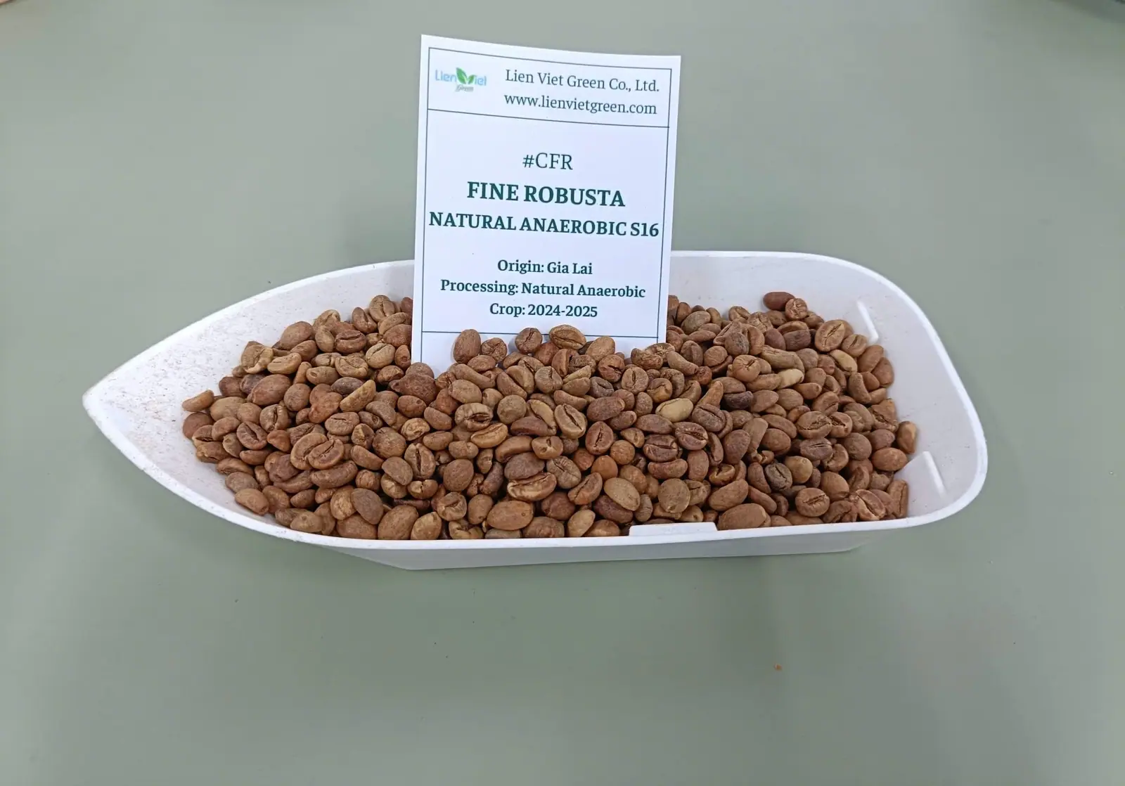 Cà phê nhân Fine Robusta Natural Anaerobic S16 CFR Gia Lai trong khay mẫu