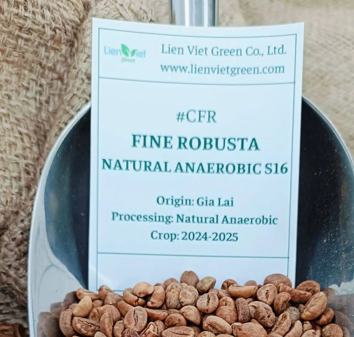 Cà phê Fine Robusta – CFR
