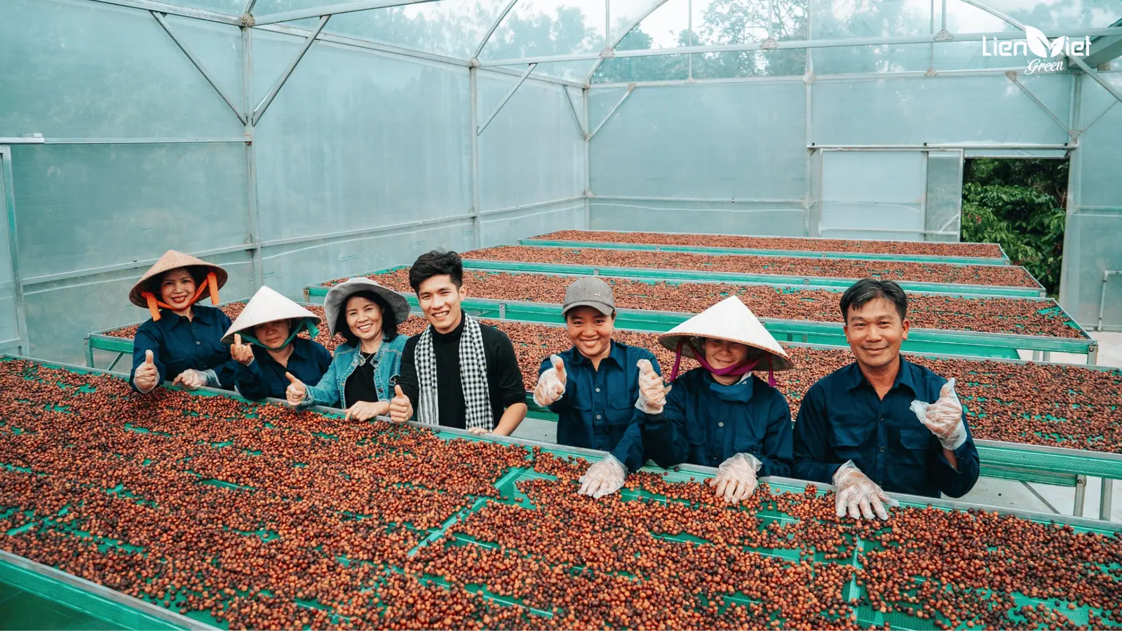 Vietnam Specialty Coffee: Market Opportunities and Trends