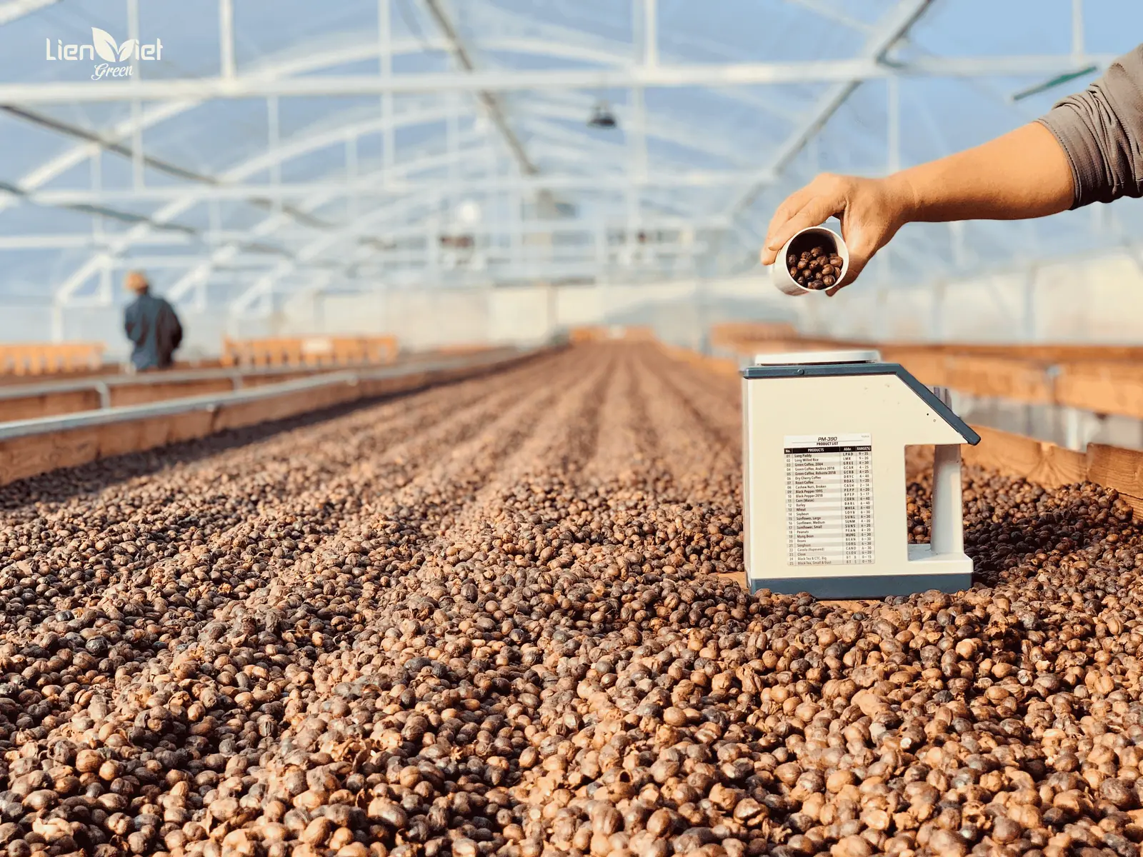 Vietnam Specialty Coffee: Market Opportunities and Global Trends