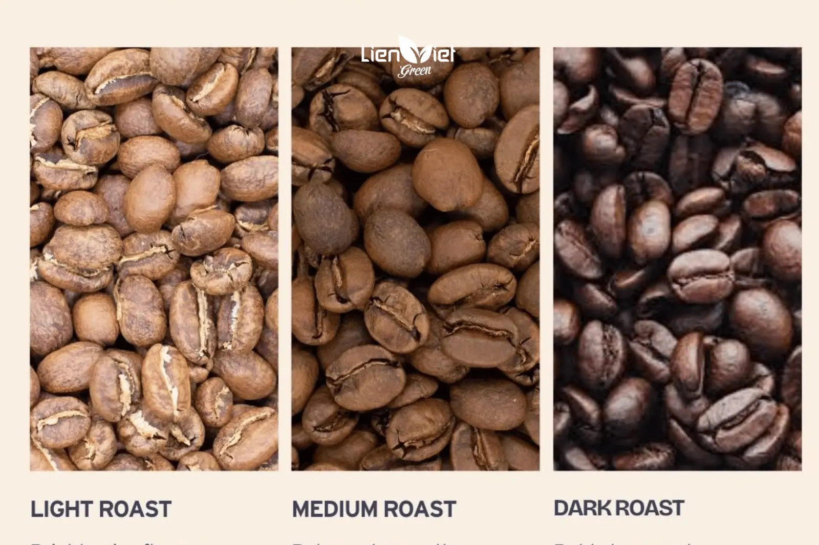 Coffee Roast Levels: How They Shape Modern Flavor Profiles