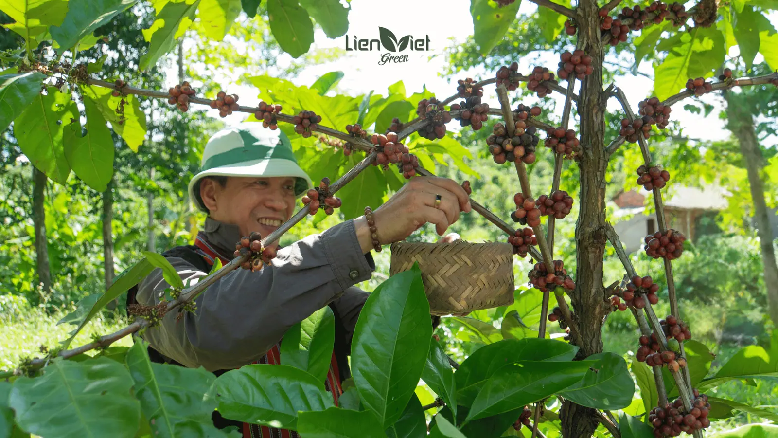 Coffee Farm Tour – Trải Nghiệm B2B Mới Của Ngành Cà Phê
