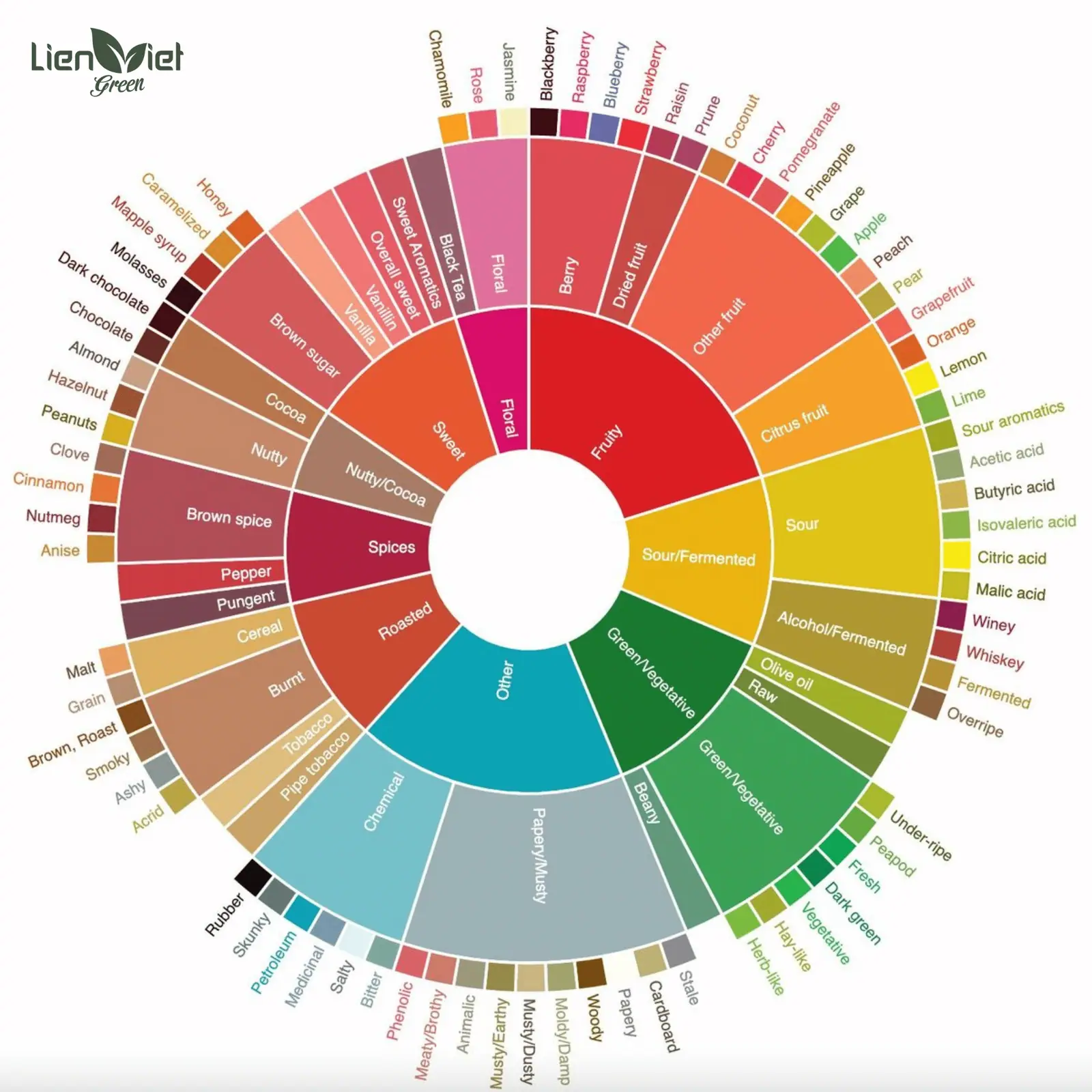 Coffee Taster’s Flavor Wheel: A Guide to Tasting Notes