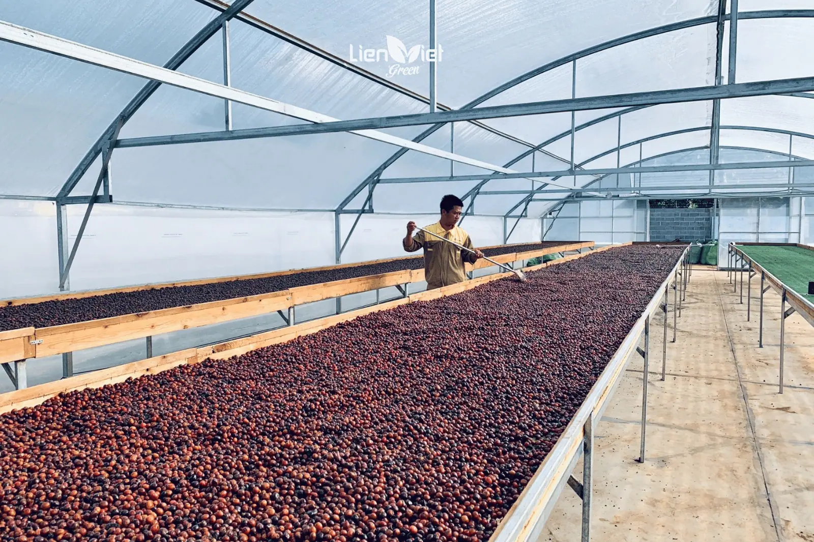 Specialty Coffee Begins with Premium Raw Materials