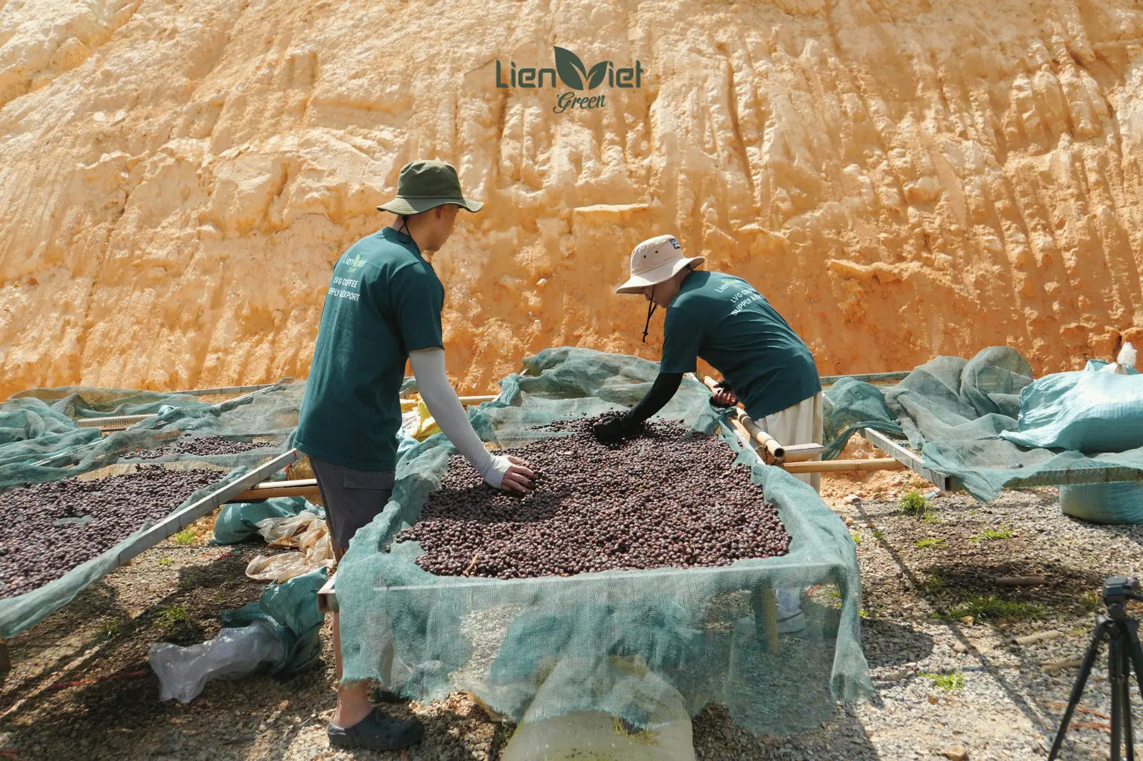 Origin Sourcing Journeys with Farm Partners: Experiencing Transparency with Lien Viet Green
