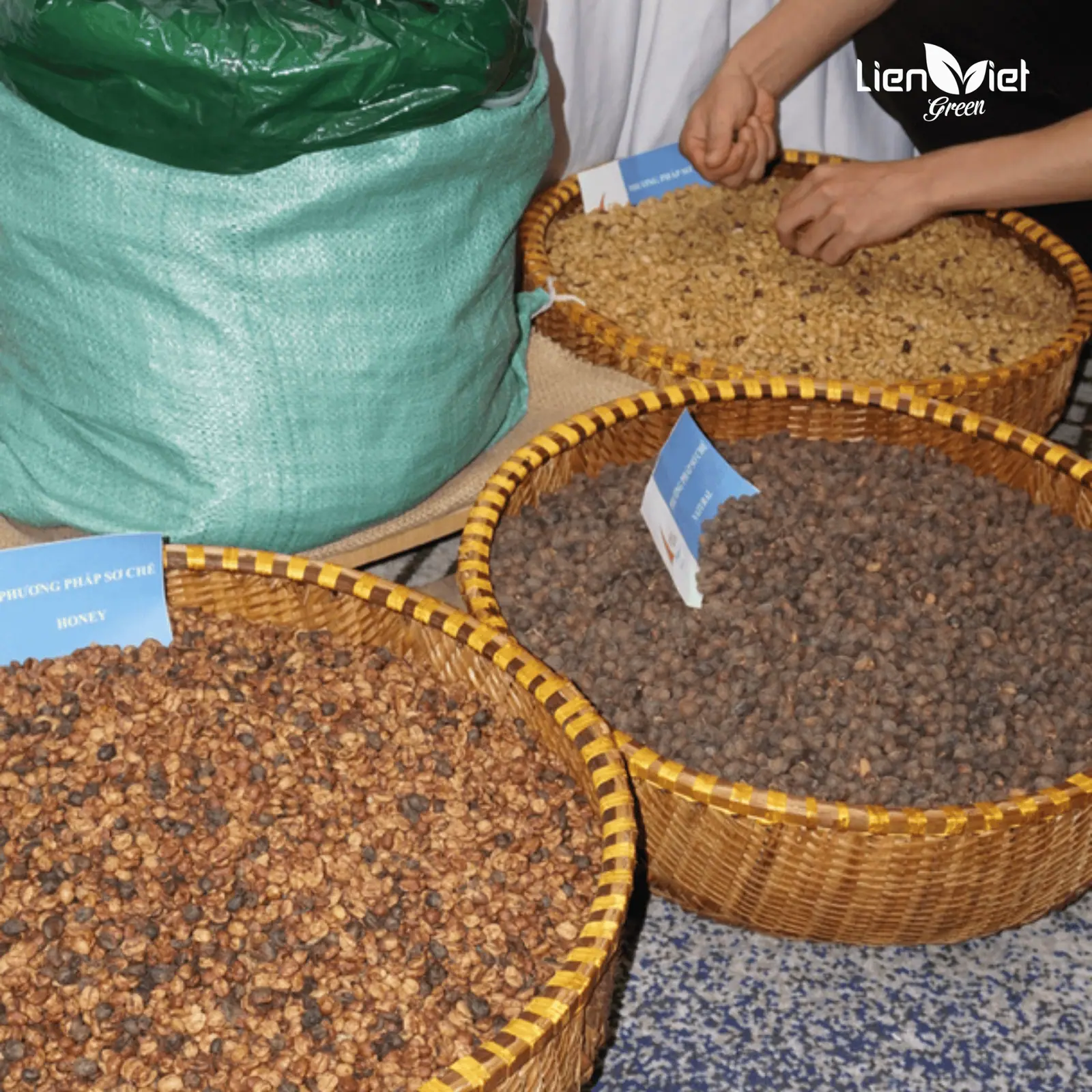 Lien Viet Green: Partnering to Bring Vietnamese Coffee to the Global Market
