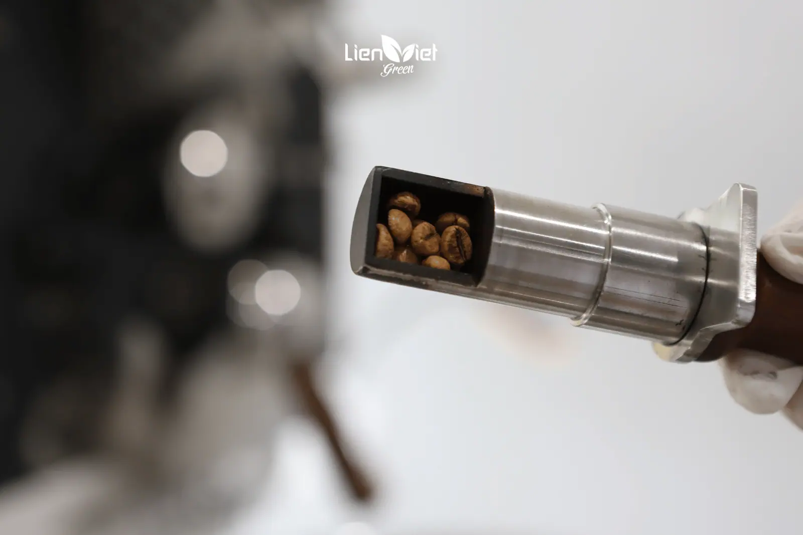 Whole Bean vs Pre-Ground Coffee: A Guide for F&B Businesses