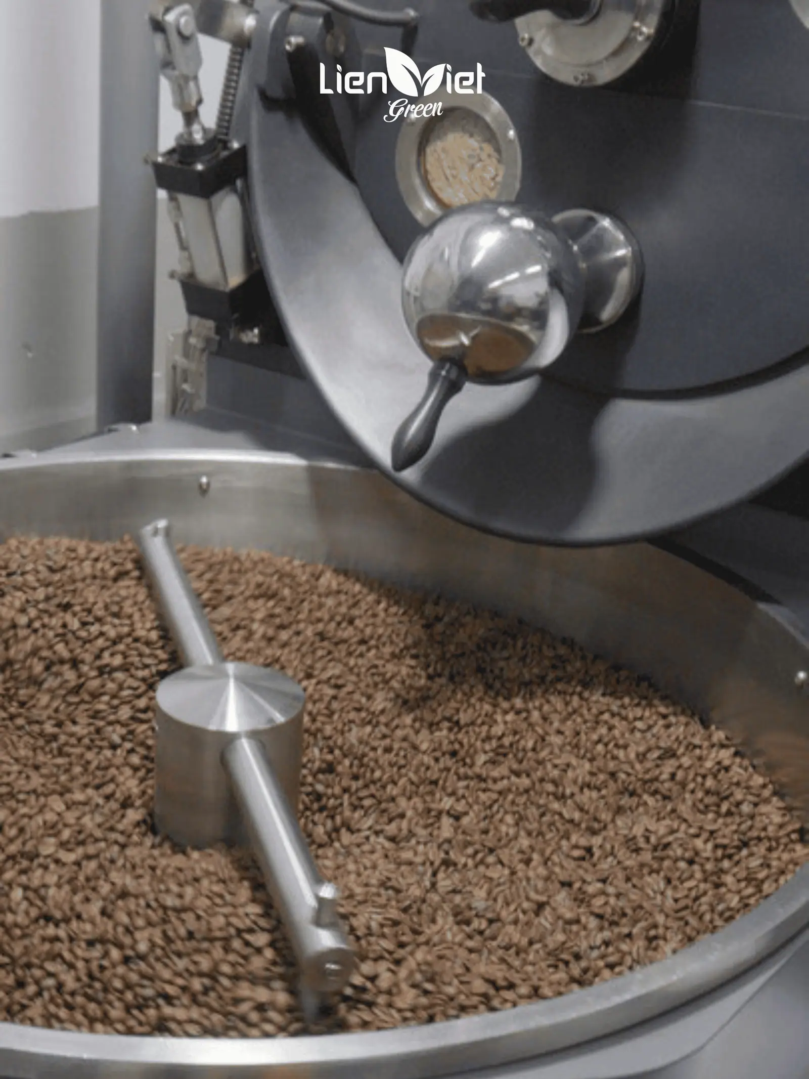 Closed-Loop Coffee Supply Chain: Strategic Advantages for F&B Enterprises