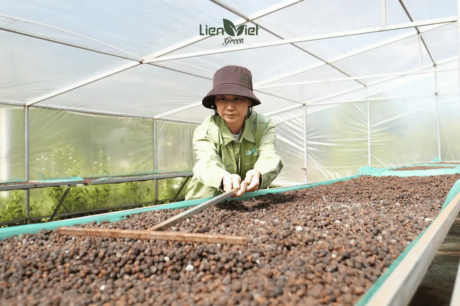 Origin Sourcing Journeys with Farm Partners: Experiencing Transparency with Lien Viet Green
