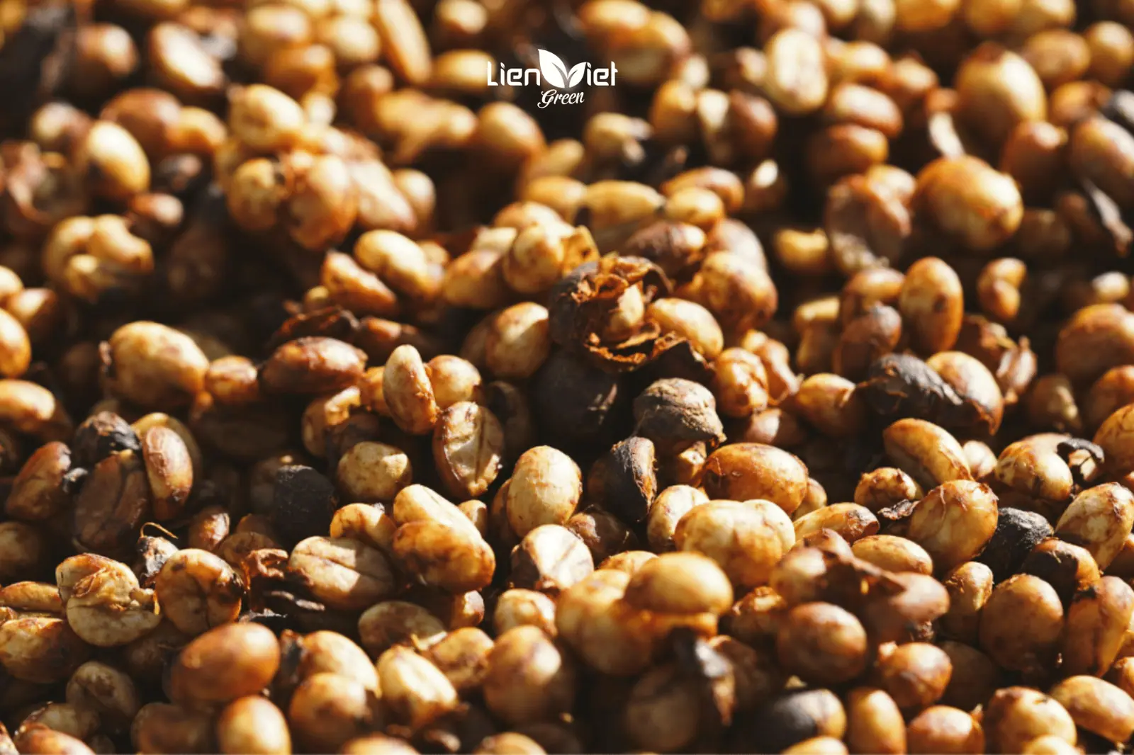 What Is Natural Anaerobic Processing in Specialty Coffee?