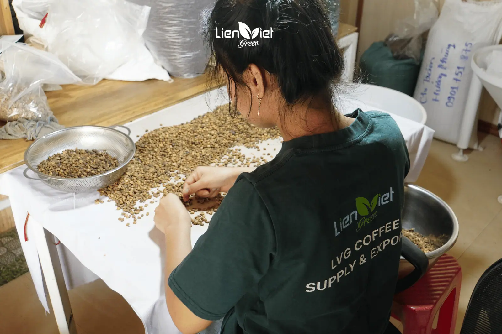 Green Coffee Defects: Why Strict QC Shapes Roasting Quality