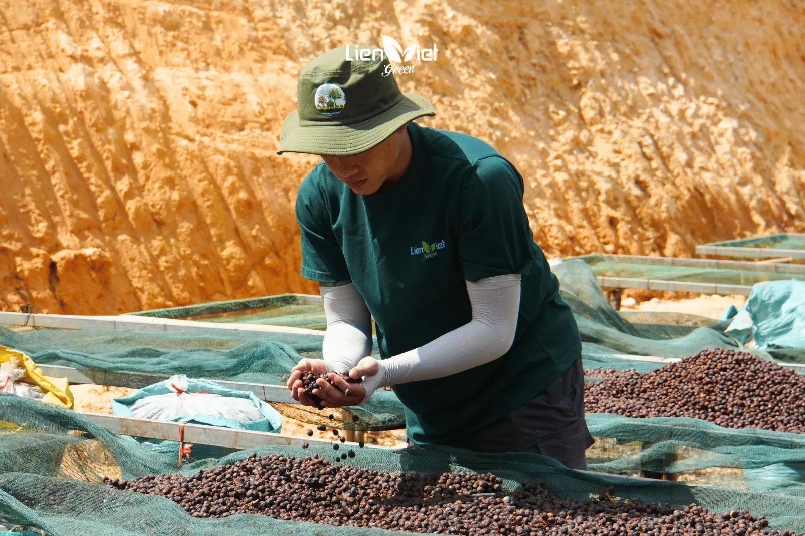 Post-Harvest Coffee Processing: Impact on Quality and Flavor