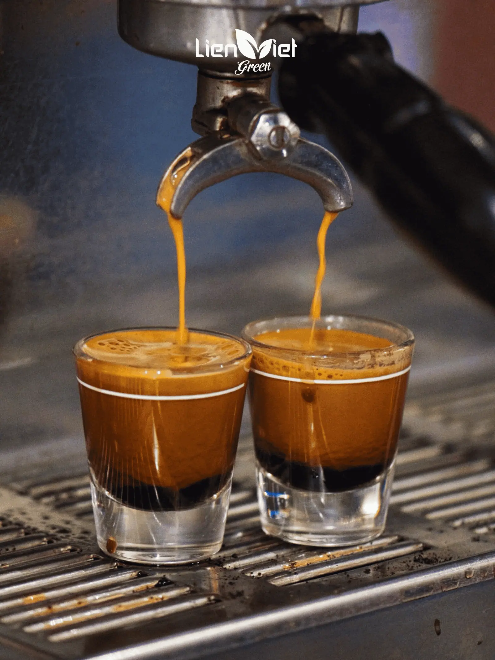 Espresso vs Phin: Choosing Coffee Beans and Roast Profiles