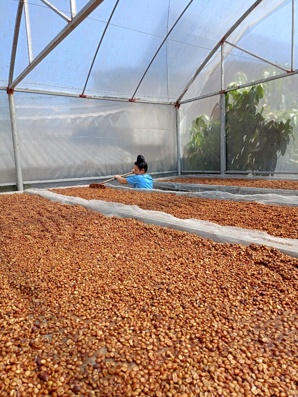Lễ hội cà phê Sơn La: khu hội chợ và hoạt động tại Quảng trường Tây Bắc