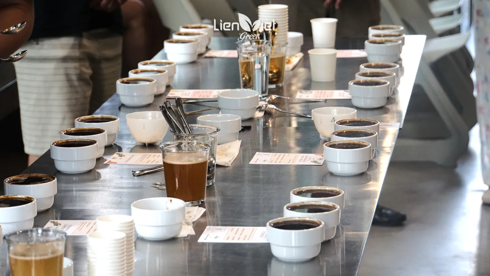 Bàn cupping xếp thẳng hàng bát mẫu và phiếu mô tả để đánh giá, phối blend cho chuỗi F&B, tại sự kiện cupping ở Beanbus Coffee
