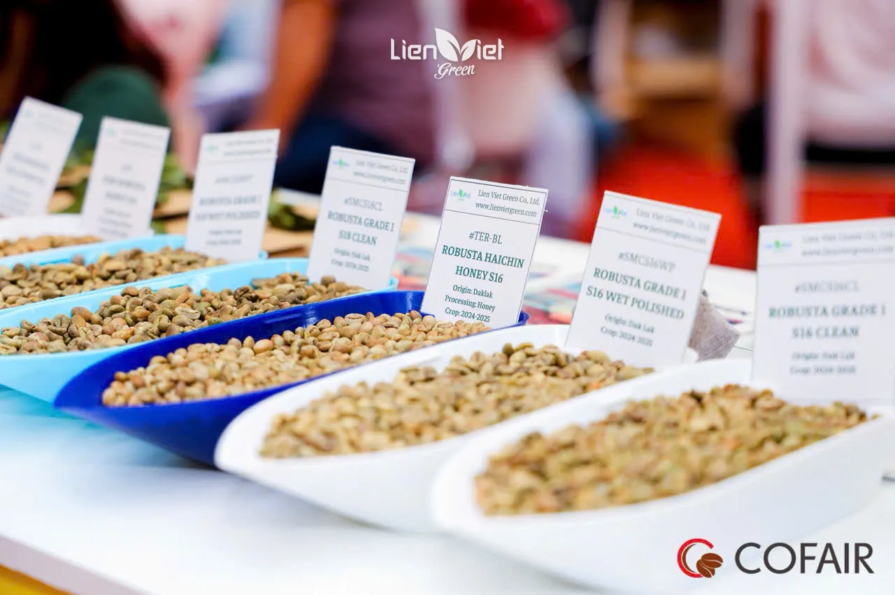 Các khay mẫu nhân xanh Robusta có thẻ tên lô tại gian hàng Liên Việt Green, Hội chợ cà phê quốc tế Cofair 2025