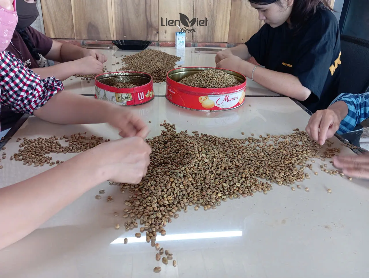 Nhặt lỗi, phân loại hạt cà phê nhân bằng tay tại vườn Hoàng Luận (Arafarm, trang trại đối tác)