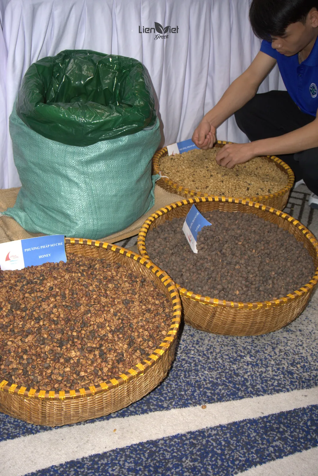Bamboo baskets of honey-processed, natural-processed and green coffee