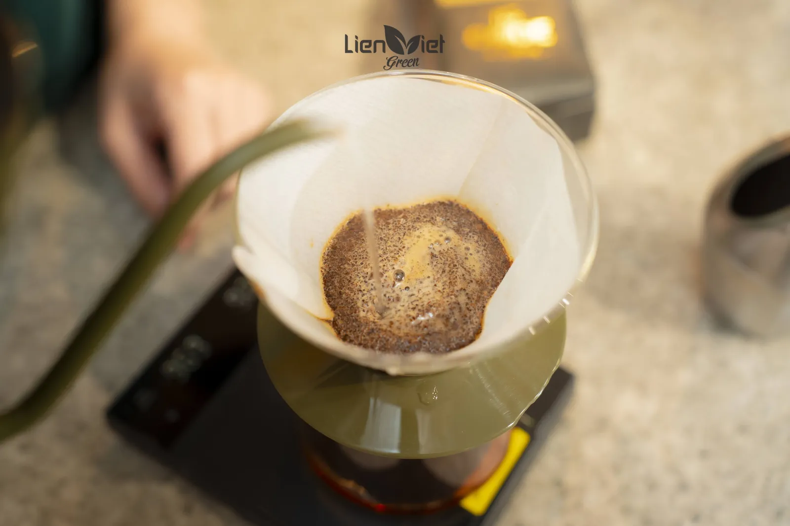 Pouring water through a paper filter for pour-over