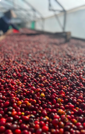 natural processing