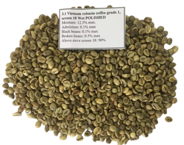 VIETNAM ROBUSTA GRADE 1 STANDAR AND CLEAN SIZE 16-18