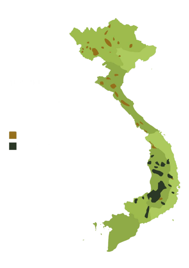 Vietnam coffee area