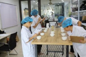 Elevate your brand with Lien Viet Green