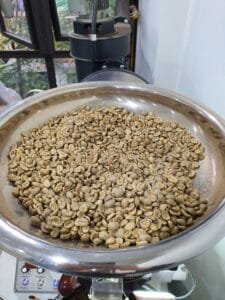 Green coffee supply