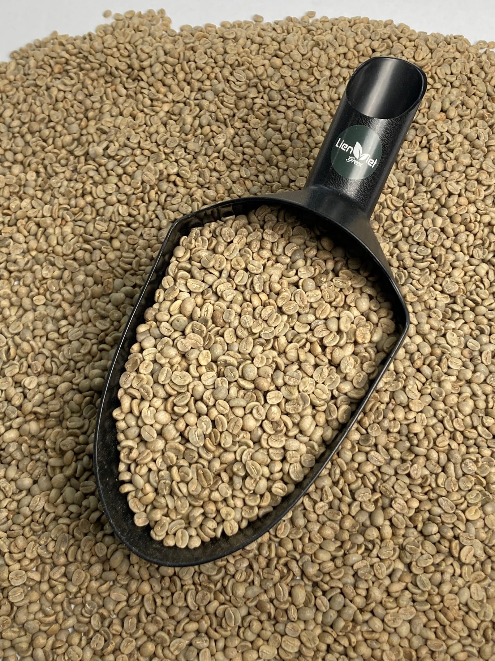 Coffee supplier Vietnam